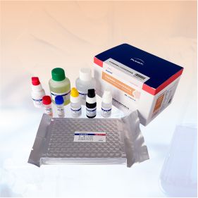 非洲豬瘟病毒ELISA抗體檢測(cè)試劑盒